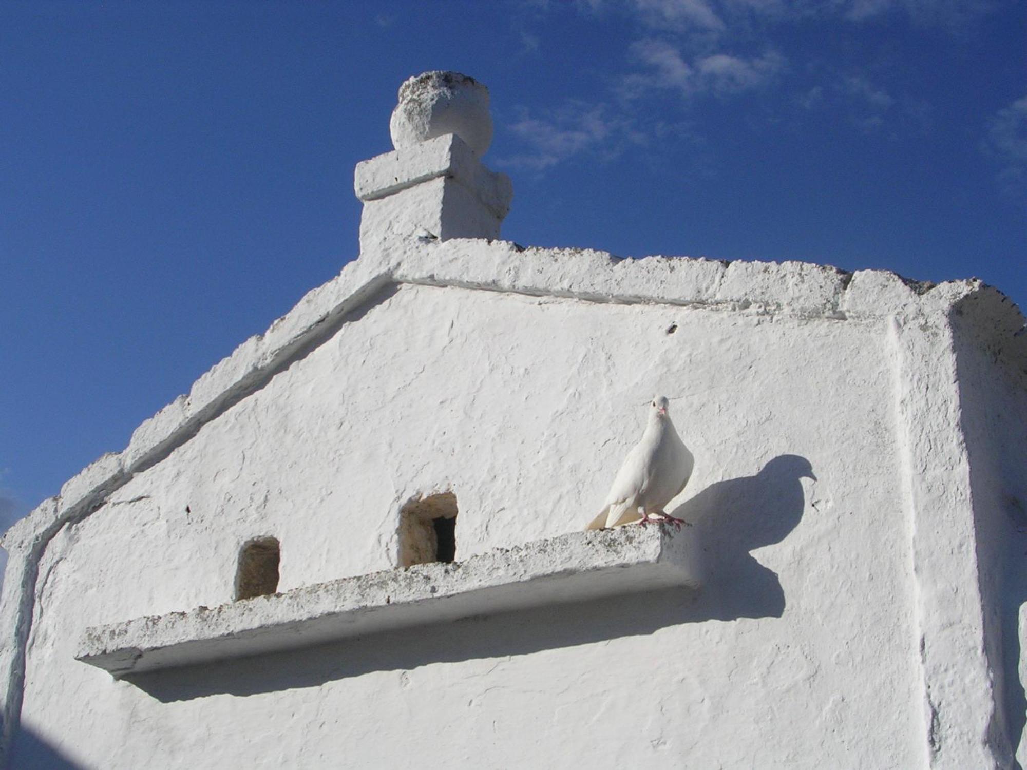 Masseria Purgatorio Fasano Extérieur photo