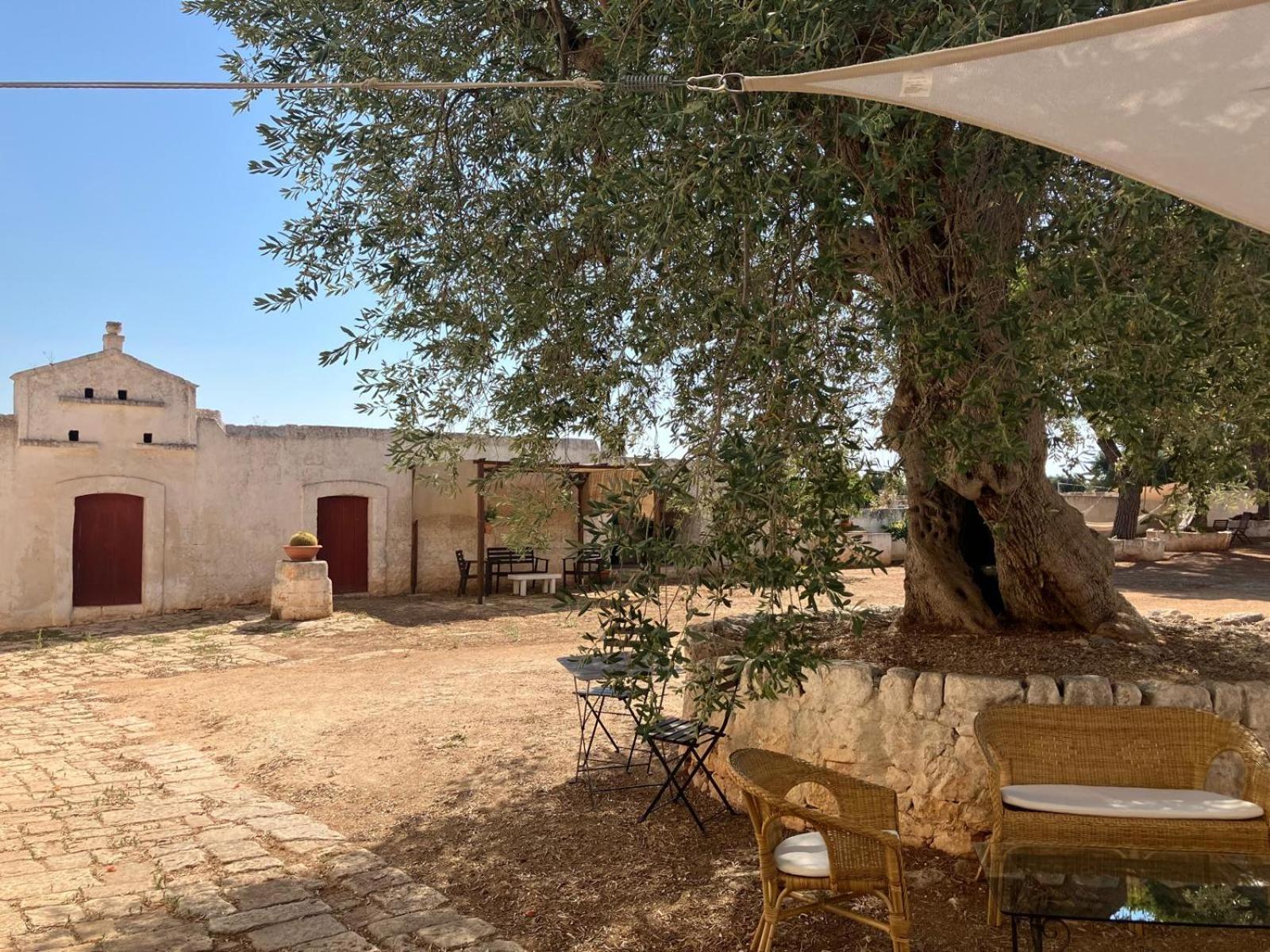 Masseria Purgatorio Fasano Extérieur photo