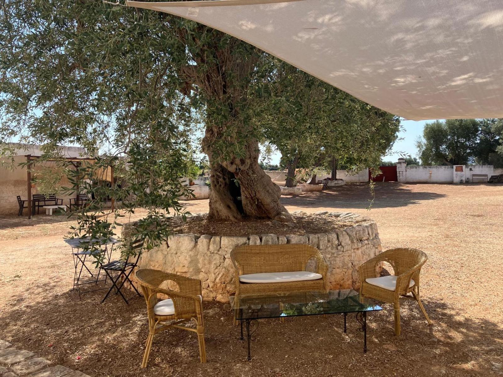 Masseria Purgatorio Fasano Extérieur photo